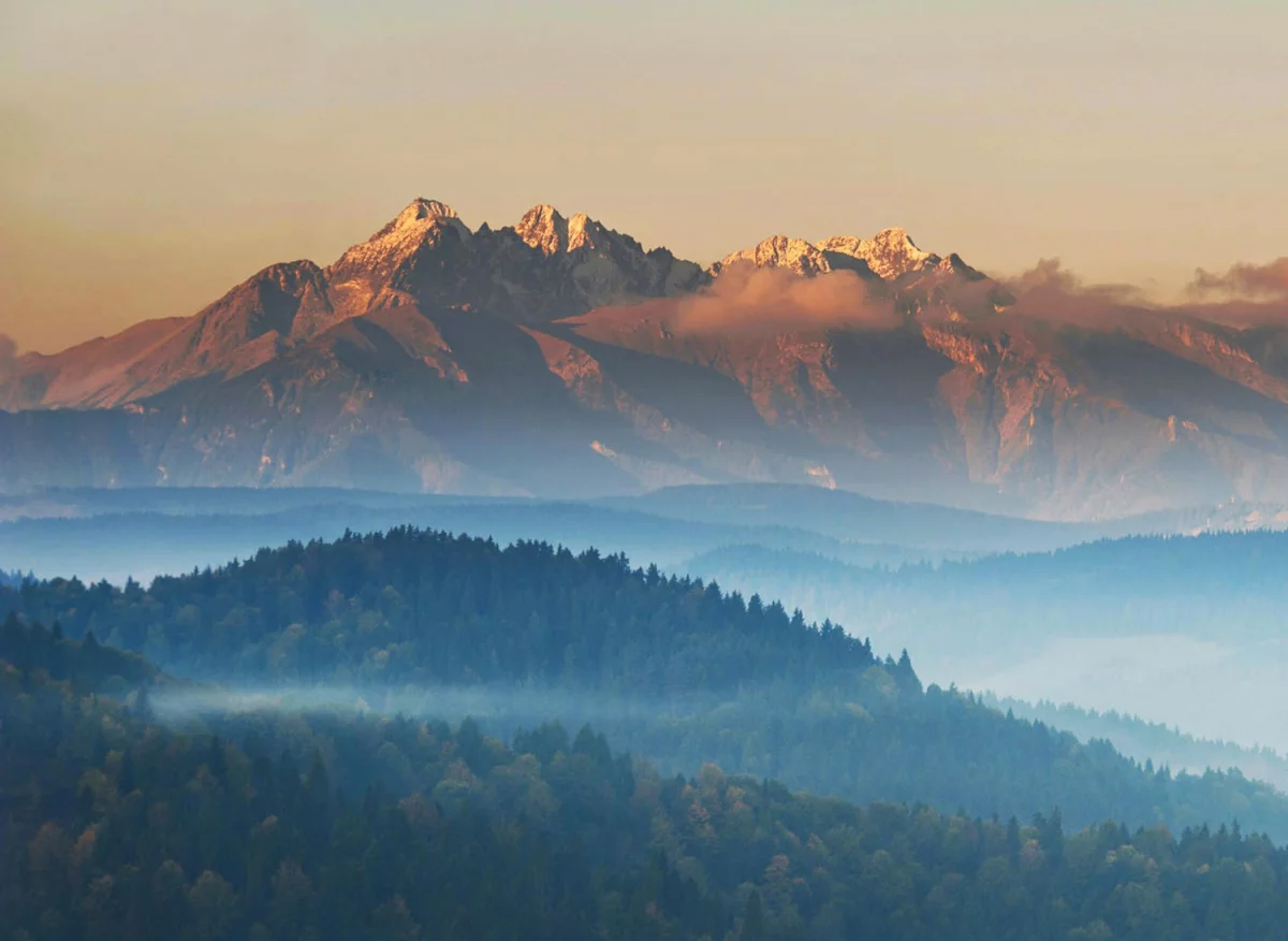 Tylko u Nas jak szkolić się w 11 dni!