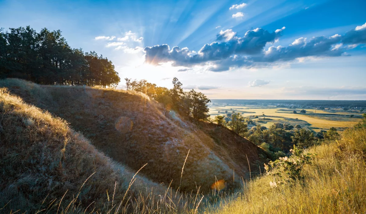 Nowe podejście w 2024 jak  robić biznes
