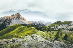 Zobacz te 4 ciekawostek o tym jak wyposażyć dom w prosty sposób