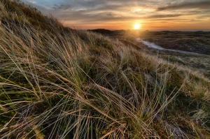Komu opłaca sie zobaczyć pokaz tańca?