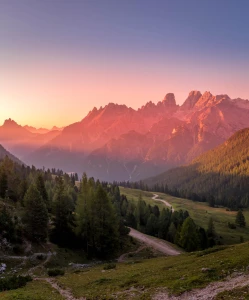 Czy możesz reklamować?